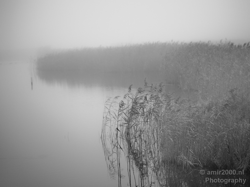 Automn_foggy_day_around_Amsterdam_city_landscape_north_holland_Netherlands_Photography_023_Canon_EOS_5D_Mark_IV.JPG