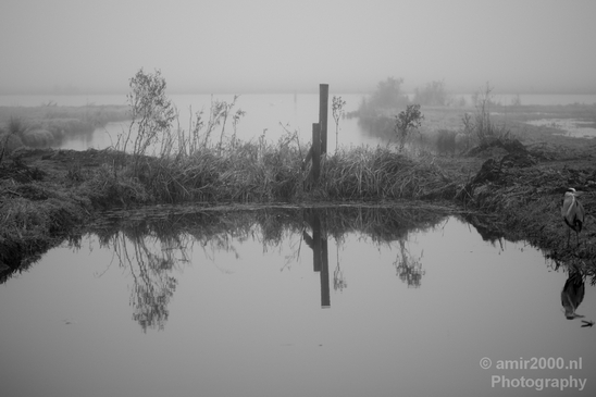 Automn_foggy_day_around_Amsterdam_city_landscape_north_holland_Netherlands_Photography_029_Canon_EOS_5D_Mark_IV.JPG