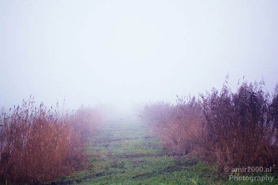 Automn_foggy_day_around_Amsterdam_city_landscape_north_holland_Netherlands_Photography_031_Canon_EOS_5D_Mark_IV.JPG
