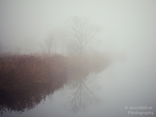 Automn_foggy_day_around_Amsterdam_city_landscape_north_holland_Netherlands_Photography_032_Canon_EOS_5D_Mark_IV.JPG