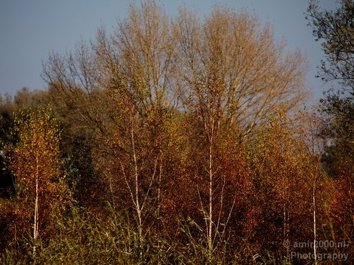 Autumn_north_holland_landscape_nature_nederland_Photography_006_Canon_EOS_5D_Mark_IV.JPG