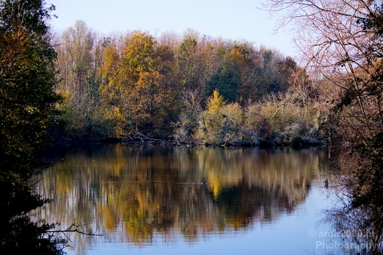 Autumn_north_holland_landscape_nature_nederland_Photography_010_Canon_EOS_5D_Mark_IV.JPG