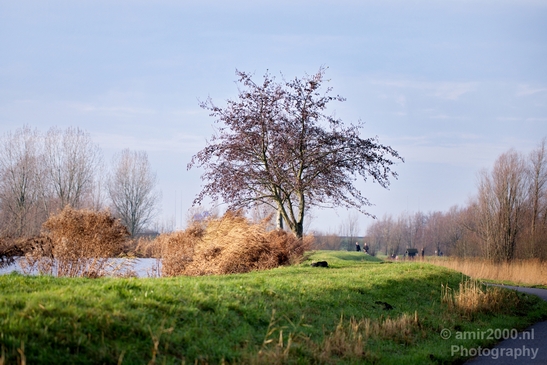 Autumn_north_holland_landscape_nature_nederland_Photography_011_Canon_EOS_5D_Mark_IV.JPG