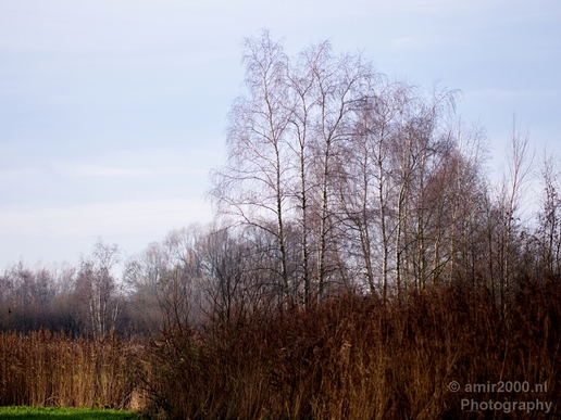 Autumn_north_holland_landscape_nature_nederland_Photography_012_Canon_EOS_5D_Mark_IV.JPG