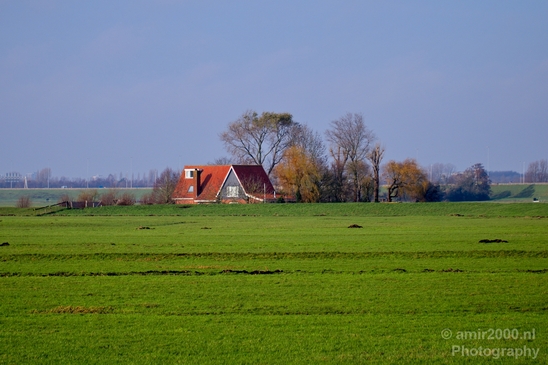 Autumn_north_holland_landscape_nature_nederland_Photography_014_Canon_EOS_5D_Mark_IV.JPG