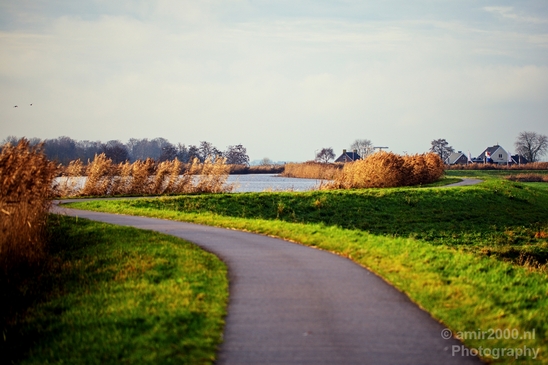 Autumn_north_holland_landscape_nature_nederland_Photography_019_Canon_EOS_5D_Mark_IV.JPG