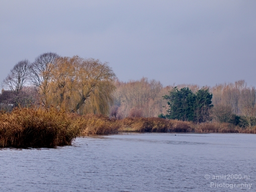 Autumn_north_holland_landscape_nature_nederland_Photography_020_Canon_EOS_5D_Mark_IV.JPG