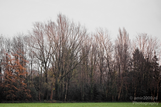 Autumn_north_holland_landscape_nature_nederland_Photography_022_Canon_EOS_5D_Mark_IV.JPG