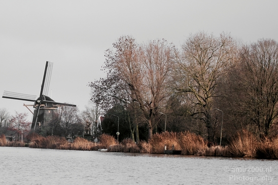 Autumn_north_holland_landscape_nature_nederland_Photography_023_Canon_EOS_5D_Mark_IV.JPG