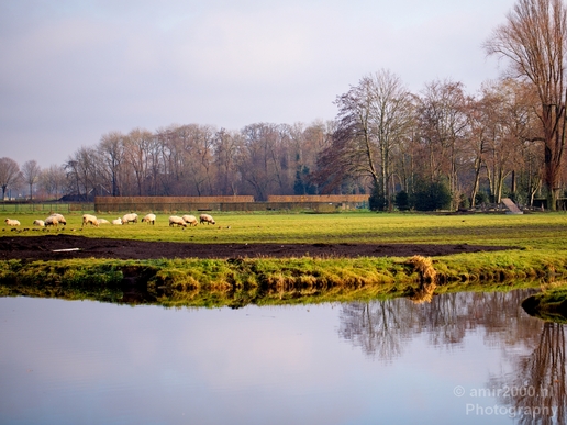 Autumn_north_holland_landscape_nature_nederland_Photography_024_Canon_EOS_5D_Mark_IV.JPG