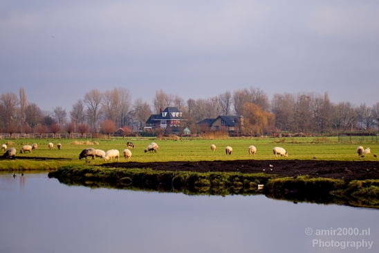Autumn_north_holland_landscape_nature_nederland_Photography_025_Canon_EOS_5D_Mark_IV.JPG