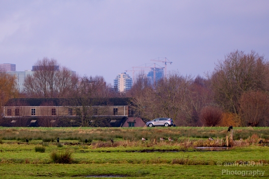Autumn_north_holland_landscape_nature_nederland_Photography_027_Canon_EOS_5D_Mark_IV.JPG