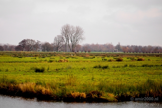 Autumn_north_holland_landscape_nature_nederland_Photography_028_Canon_EOS_5D_Mark_IV.JPG