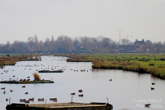 Autumn_north_holland_landscape_nature_nederland_Photography_029_Canon_EOS_5D_Mark_IV.JPG