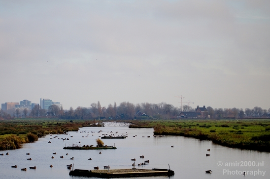 Autumn_north_holland_landscape_nature_nederland_Photography_030_Canon_EOS_5D_Mark_IV.JPG