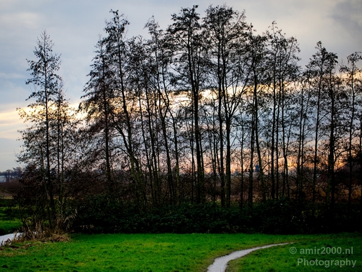 Autumn_north_holland_landscape_nature_nederland_Photography_031_Canon_EOS_5D_Mark_IV.JPG