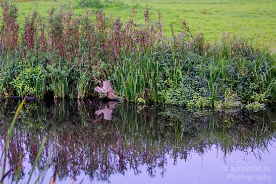 Autumn_north_holland_landscape_nature_nederland_Photography_040_Canon_EOS_5D_Mark_IV.JPG