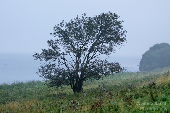 Autumn_north_holland_landscape_nature_nederland_Photography_045_Canon_EOS_5D_Mark_IV.JPG