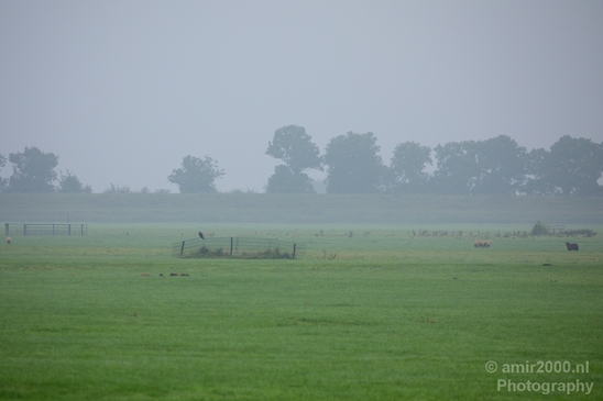 Autumn_north_holland_landscape_nature_nederland_Photography_047_Canon_EOS_5D_Mark_IV.JPG