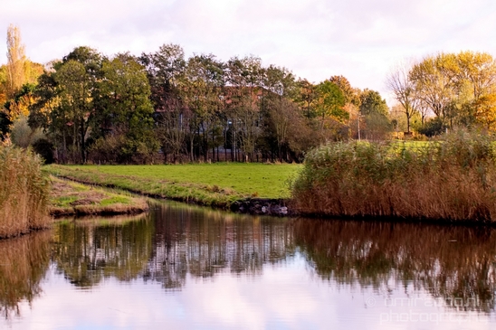 Autumn_north_holland_landscape_nature_nederland_Photography_051_Canon_EOS_5D_Mark_IV.JPG