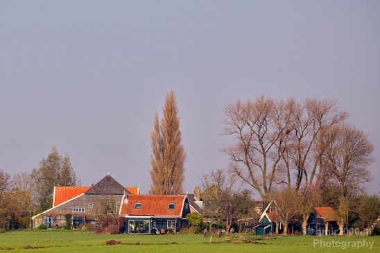 Autumn_north_holland_landscape_nature_nederland_Photography_054_Canon_EOS_5D_Mark_IV.JPG