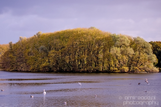 Autumn_north_holland_landscape_nature_nederland_Photography_056_Canon_EOS_5D_Mark_IV.JPG