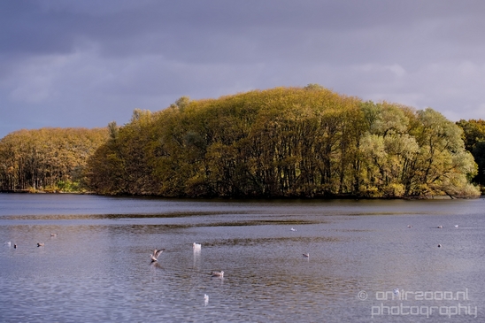 Autumn_north_holland_landscape_nature_nederland_Photography_057_Canon_EOS_5D_Mark_IV.JPG