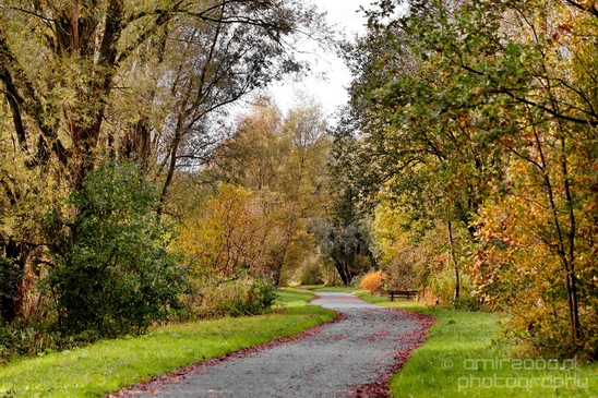 Autumn_north_holland_landscape_nature_nederland_Photography_058_Canon_EOS_5D_Mark_IV.JPG