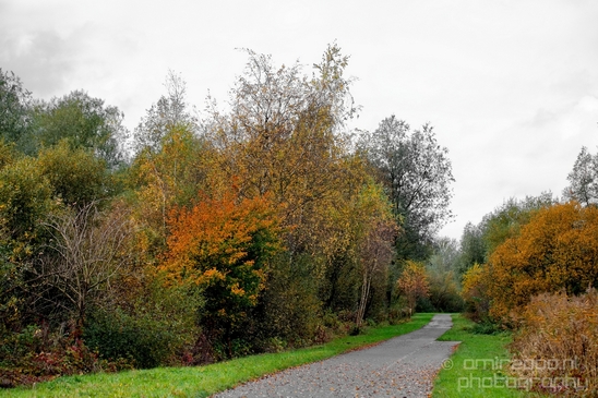 Autumn_north_holland_landscape_nature_nederland_Photography_060_Canon_EOS_5D_Mark_IV.JPG