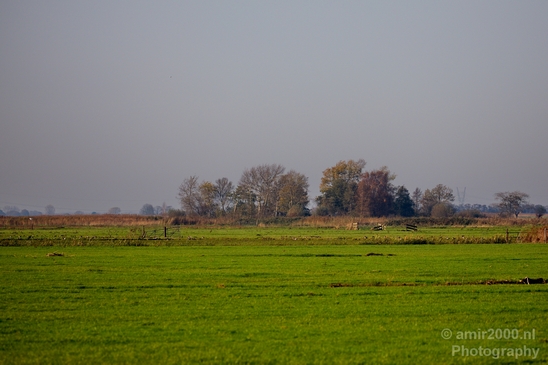 Autumn_north_holland_landscape_nature_nederland_Photography_065_Canon_EOS_5D_Mark_IV.JPG