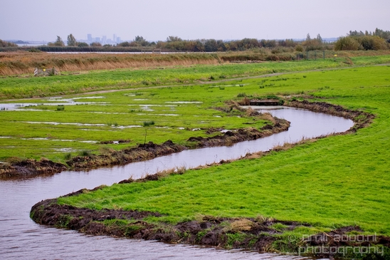 Autumn_north_holland_landscape_nature_nederland_Photography_067_Canon_EOS_5D_Mark_IV.JPG