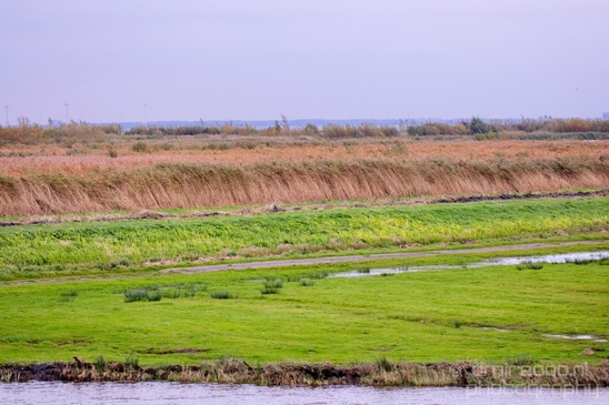 Autumn_north_holland_landscape_nature_nederland_Photography_069_Canon_EOS_5D_Mark_IV.JPG