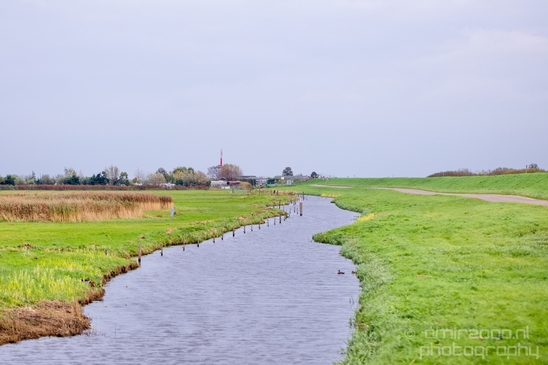 Autumn_north_holland_landscape_nature_nederland_Photography_070_Canon_EOS_5D_Mark_IV.JPG