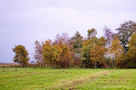Autumn_north_holland_landscape_nature_nederland_Photography_071_Canon_EOS_5D_Mark_IV.JPG