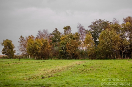 Autumn_north_holland_landscape_nature_nederland_Photography_072_Canon_EOS_5D_Mark_IV.JPG