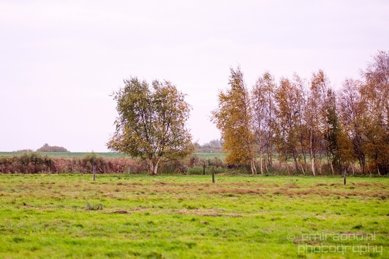 Autumn_north_holland_landscape_nature_nederland_Photography_073_Canon_EOS_5D_Mark_IV.JPG