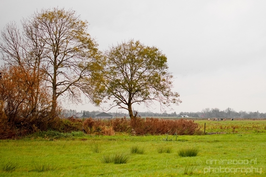 Autumn_north_holland_landscape_nature_nederland_Photography_075_Canon_EOS_5D_Mark_IV.JPG