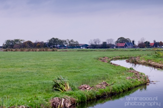 Autumn_north_holland_landscape_nature_nederland_Photography_077_Canon_EOS_5D_Mark_IV.JPG