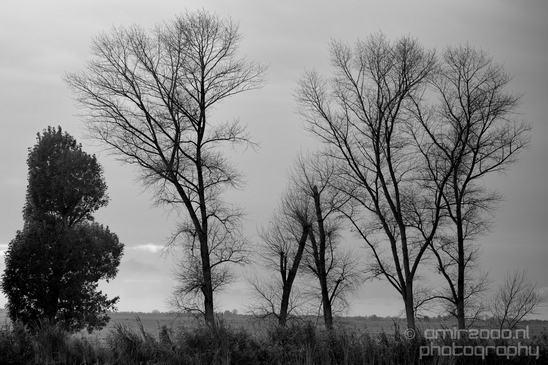 Autumn_north_holland_landscape_nature_nederland_Photography_083_Canon_EOS_5D_Mark_IV.JPG