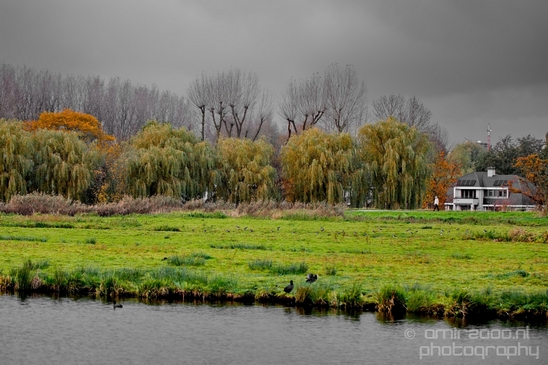 Autumn_north_holland_landscape_nature_nederland_Photography_084_Canon_EOS_5D_Mark_IV.JPG