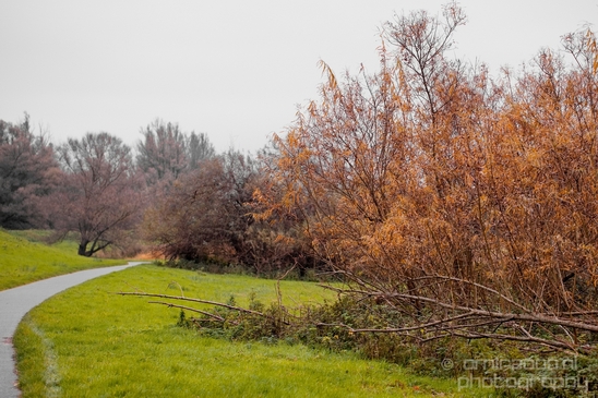 Autumn_north_holland_landscape_nature_nederland_Photography_086_Canon_EOS_5D_Mark_IV.JPG