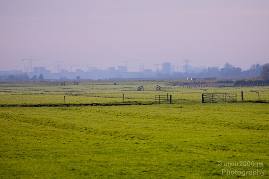 Autumn_north_holland_landscape_nature_nederland_Photography_087_Canon_EOS_5D_Mark_IV.JPG