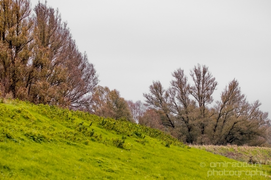 Autumn_north_holland_landscape_nature_nederland_Photography_089_Canon_EOS_5D_Mark_IV.JPG