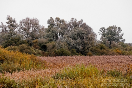 Autumn_north_holland_landscape_nature_nederland_Photography_091_Canon_EOS_5D_Mark_IV.JPG