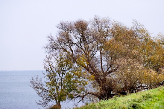 Autumn_north_holland_landscape_nature_nederland_Photography_099_Canon_EOS_5D_Mark_IV.JPG
