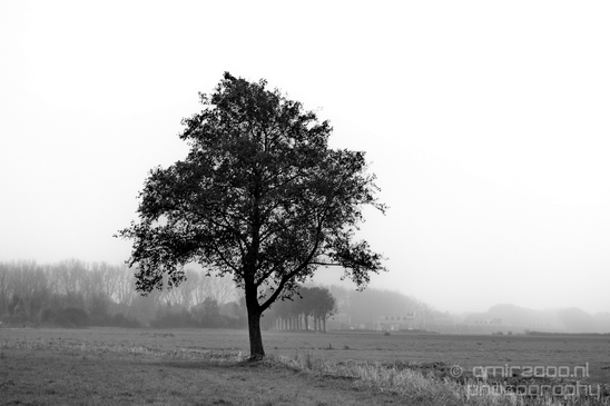 Autumn_north_holland_landscape_nature_nederland_Photography_100_Canon_EOS_5D_Mark_IV.JPG