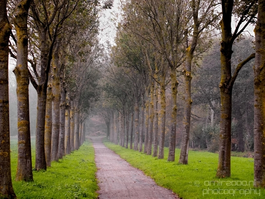 Autumn_north_holland_landscape_nature_nederland_Photography_102_Canon_EOS_5D_Mark_IV.JPG