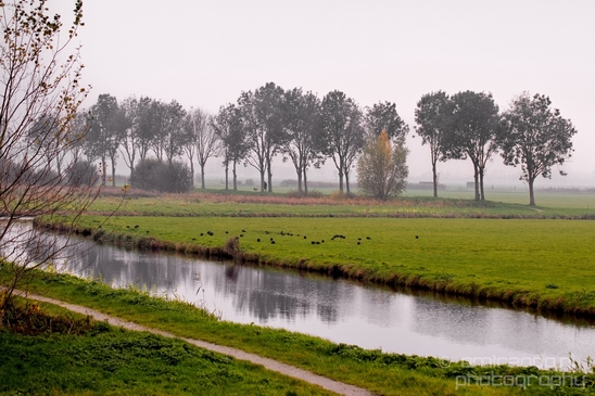 Autumn_north_holland_landscape_nature_nederland_Photography_103_Canon_EOS_5D_Mark_IV.JPG