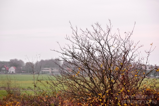 Autumn_north_holland_landscape_nature_nederland_Photography_104_Canon_EOS_5D_Mark_IV.JPG
