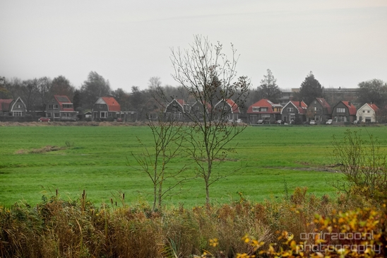 Autumn_north_holland_landscape_nature_nederland_Photography_105_Canon_EOS_5D_Mark_IV.JPG